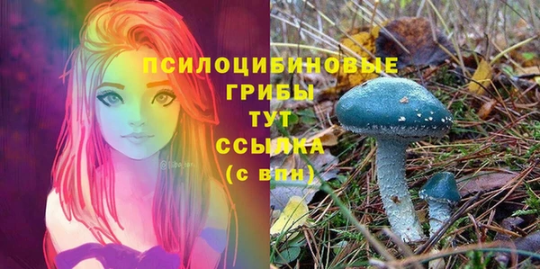 прущие крисы Кодинск
