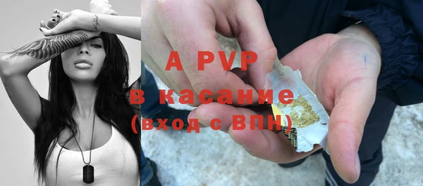 дживик Козельск