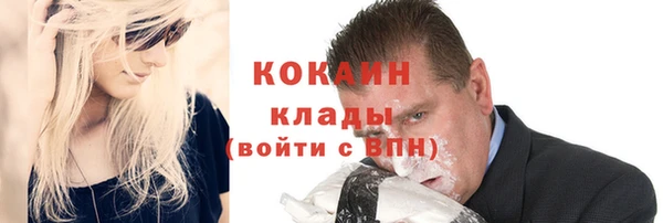 дживик Козельск