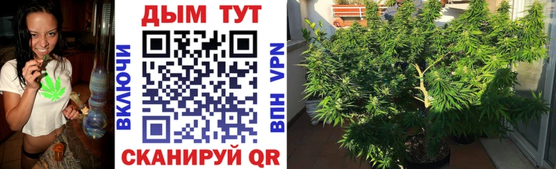 Конопля планчик  Мелеуз 